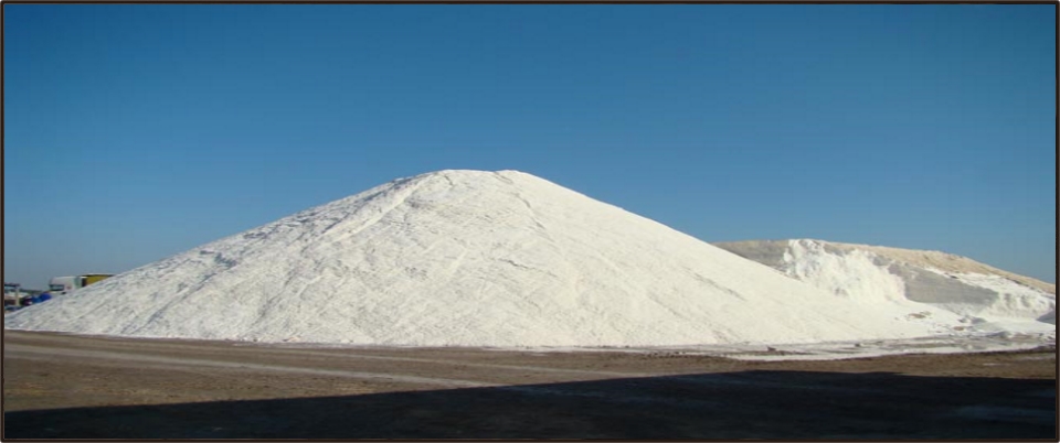 banco salina los barrios