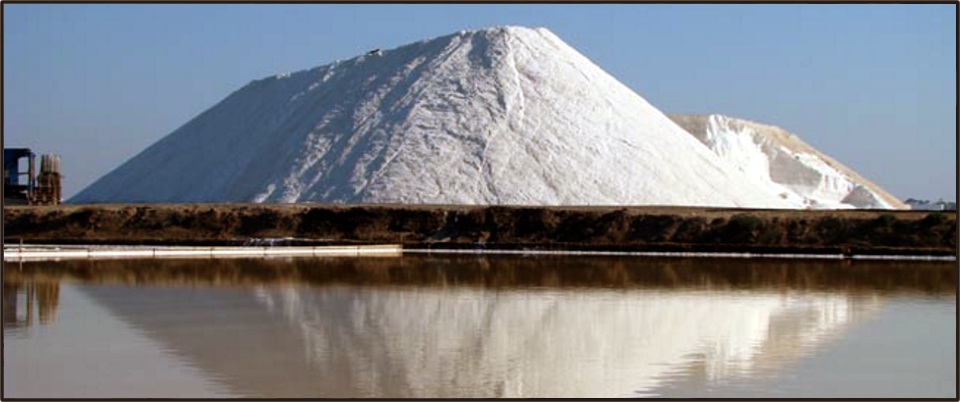 banco salina reflejo